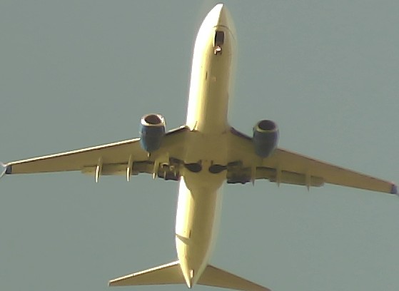 Airplane Picture