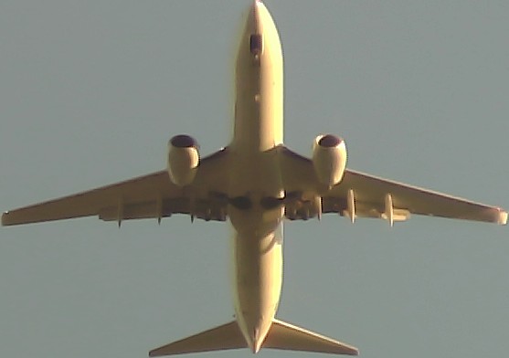 Airplane Picture