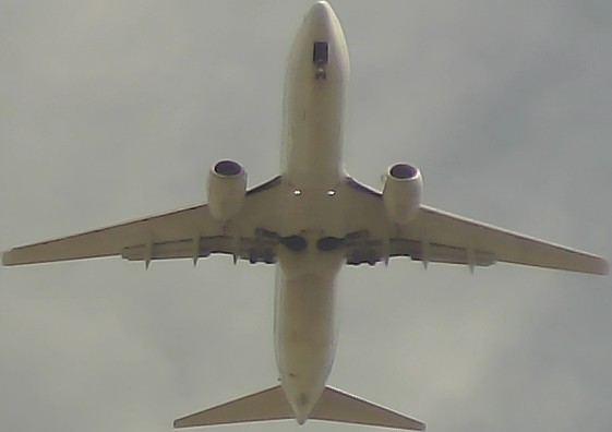 Airplane Picture