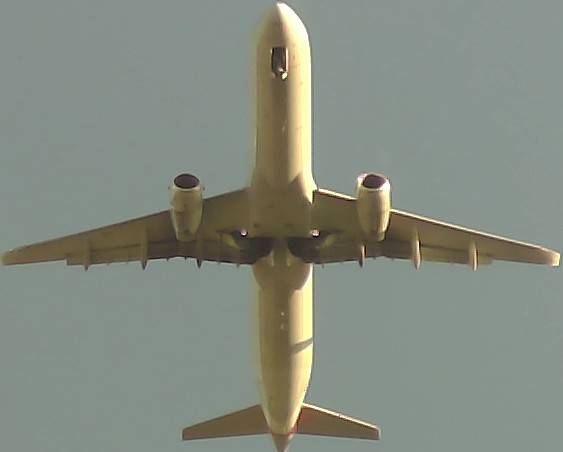 Airplane Picture
