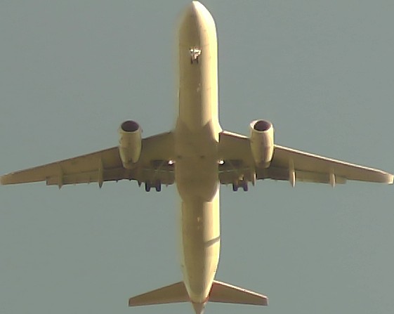 Airplane Picture