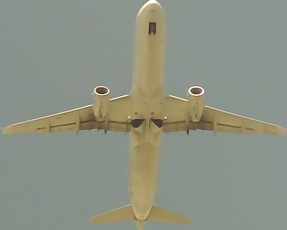 Airplane Picture