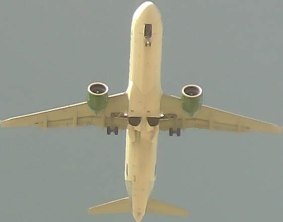Airplane Picture