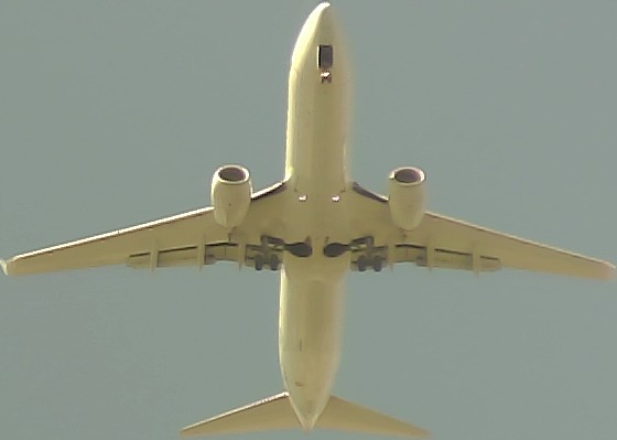 Airplane Picture