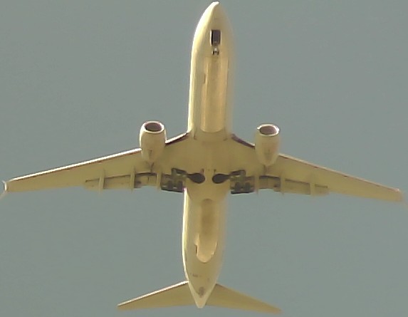Airplane Picture