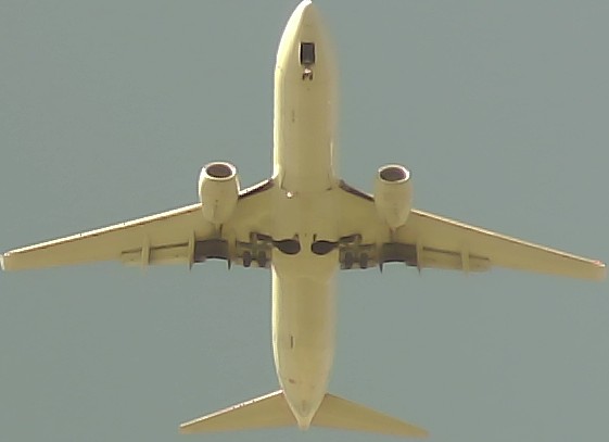 Airplane Picture