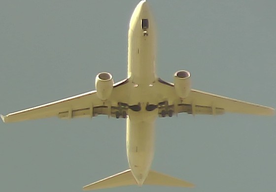 Airplane Picture
