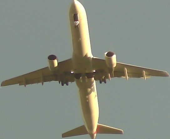 Airplane Picture