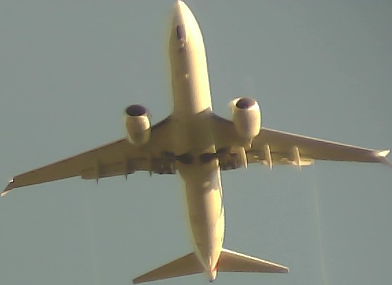 Airplane Picture