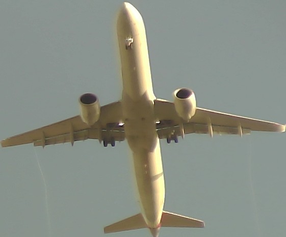 Airplane Picture
