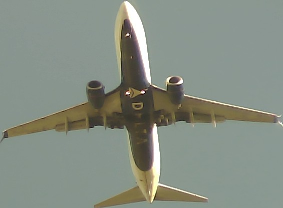 Airplane Picture