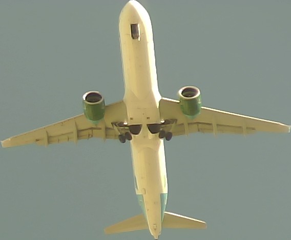Airplane Picture