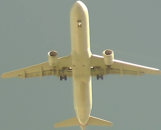 Airplane Picture