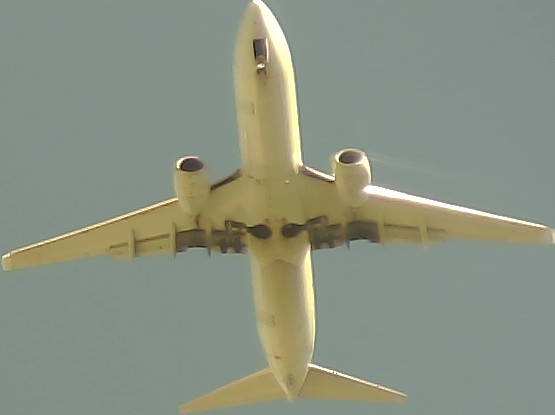 Airplane Picture