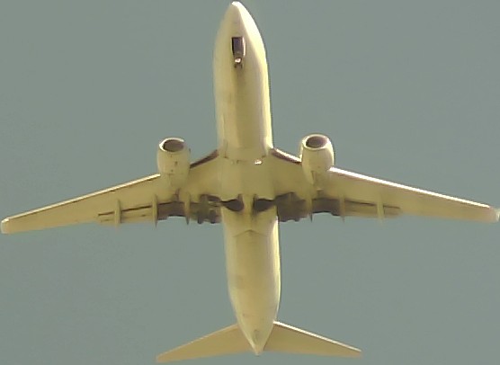 Airplane Picture