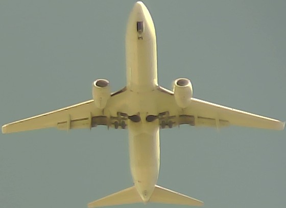 Airplane Picture