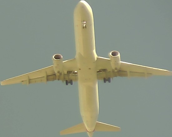 Airplane Picture