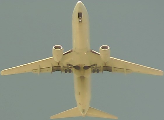 Airplane Picture