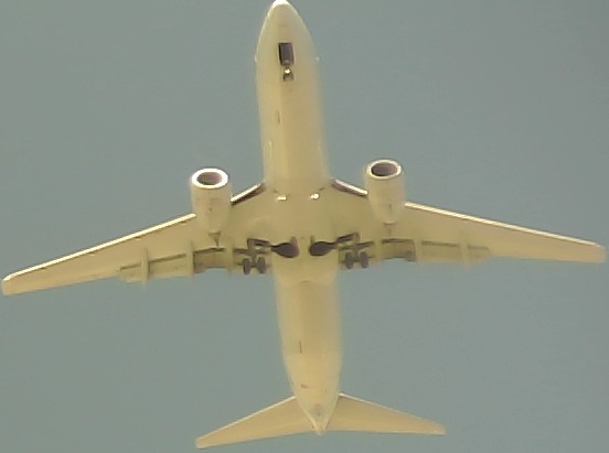 Airplane Picture
