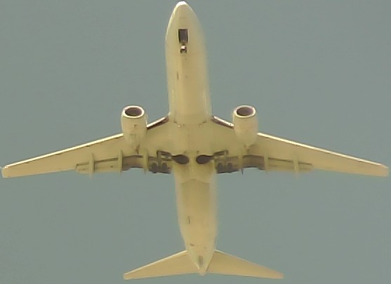 Airplane Picture