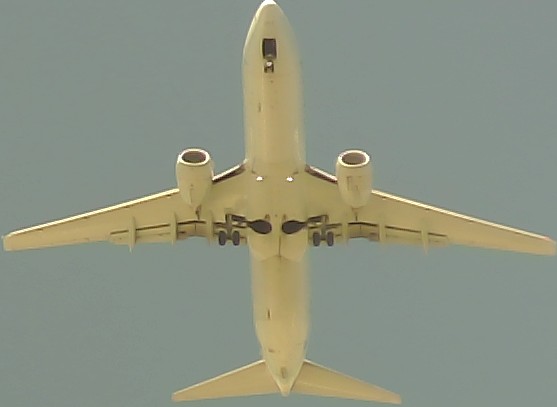 Airplane Picture
