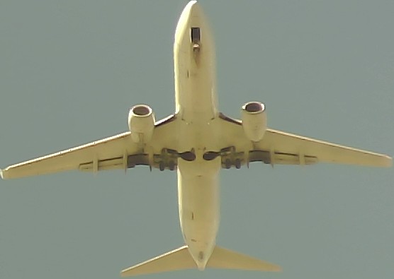 Airplane Picture