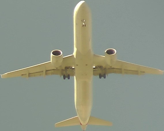 Airplane Picture