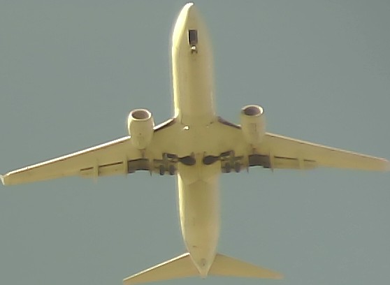 Airplane Picture