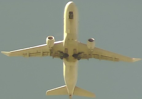 Airplane Picture