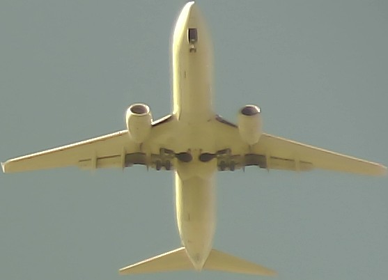 Airplane Picture
