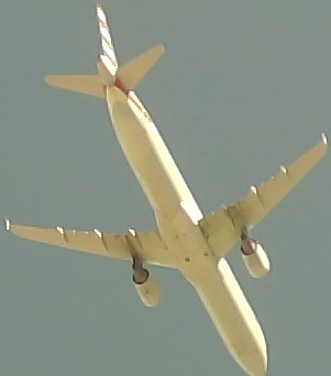 Airplane Picture