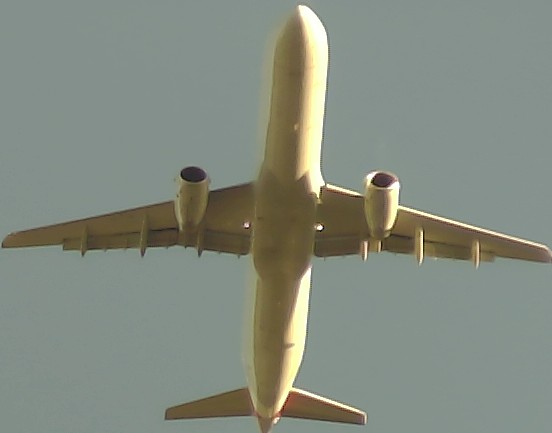 Airplane Picture