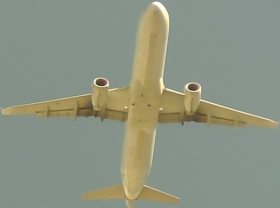 Airplane Picture