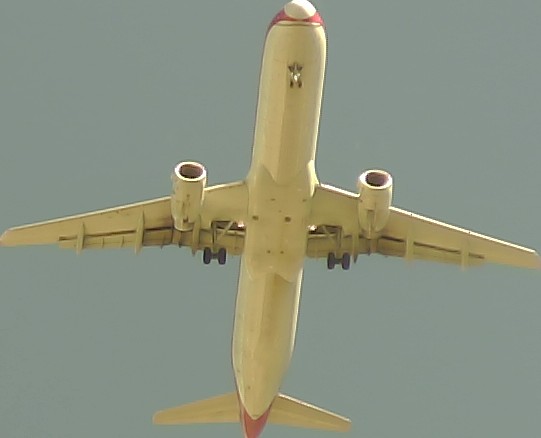 Airplane Picture