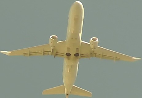 Airplane Picture