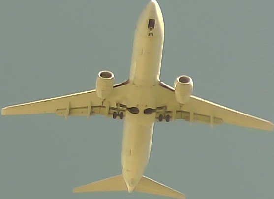 Airplane Picture