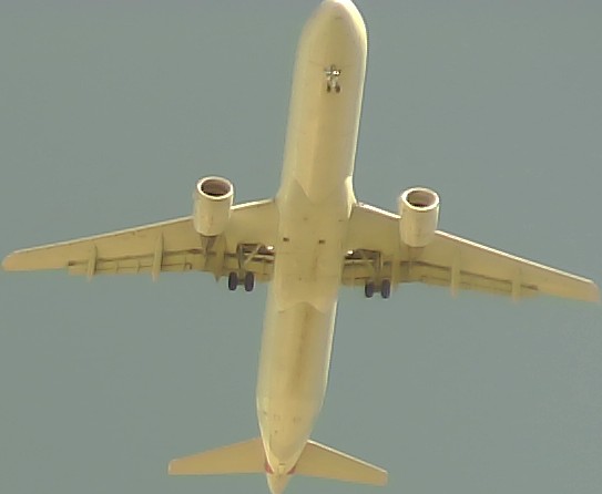Airplane Picture