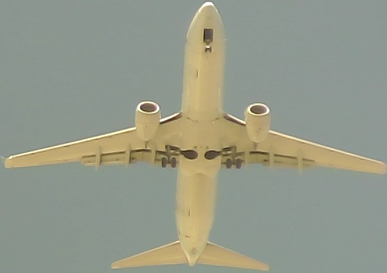 Airplane Picture