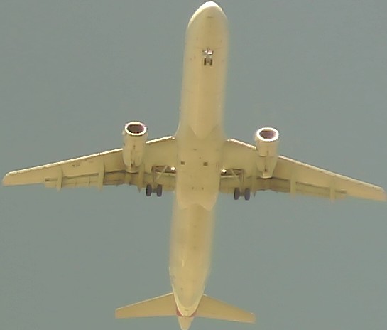 Airplane Picture
