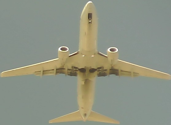 Airplane Picture