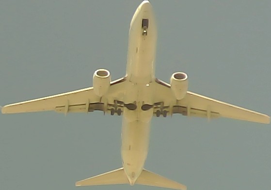 Airplane Picture