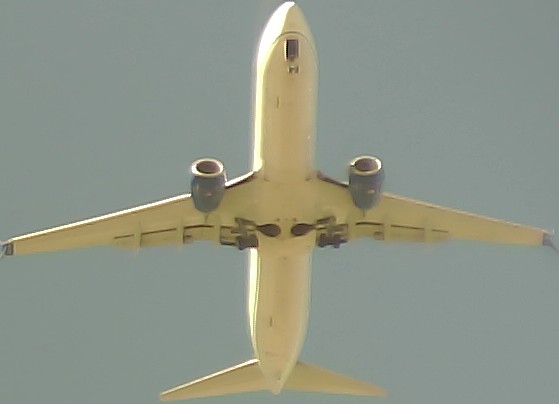 Airplane Picture