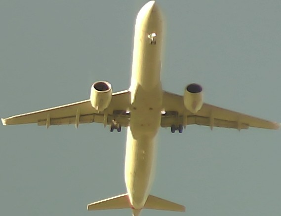 Airplane Picture