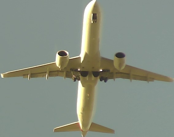 Airplane Picture