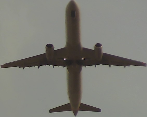 Airplane Picture
