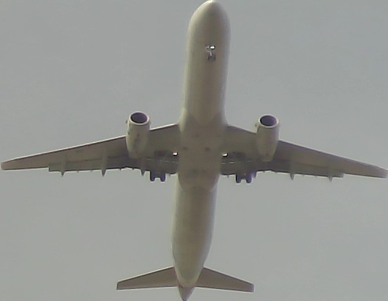 Airplane Picture