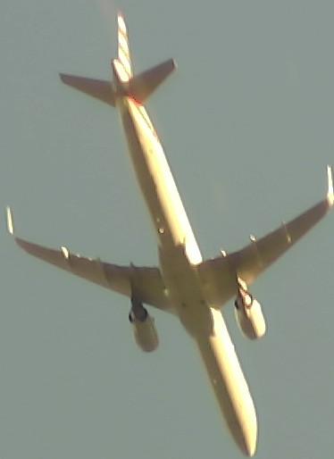 Airplane Picture