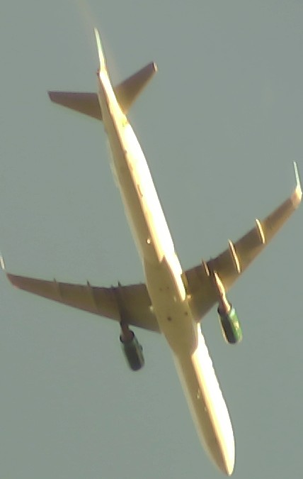 Airplane Picture