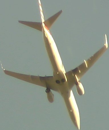 Airplane Picture
