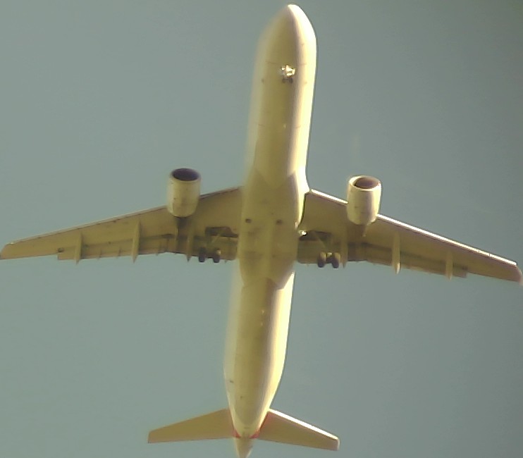 Airplane Picture
